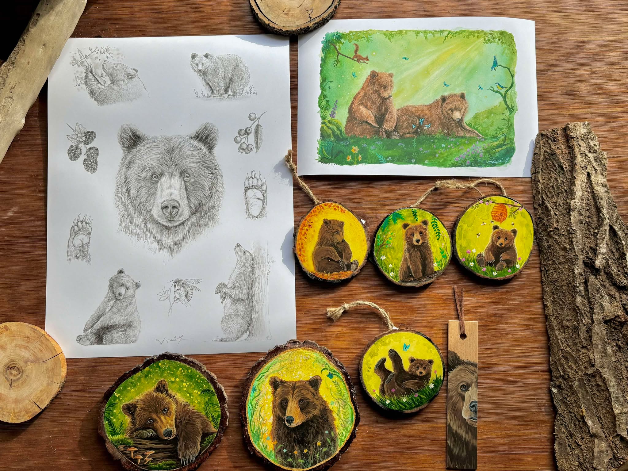 🐻 Collection Ours