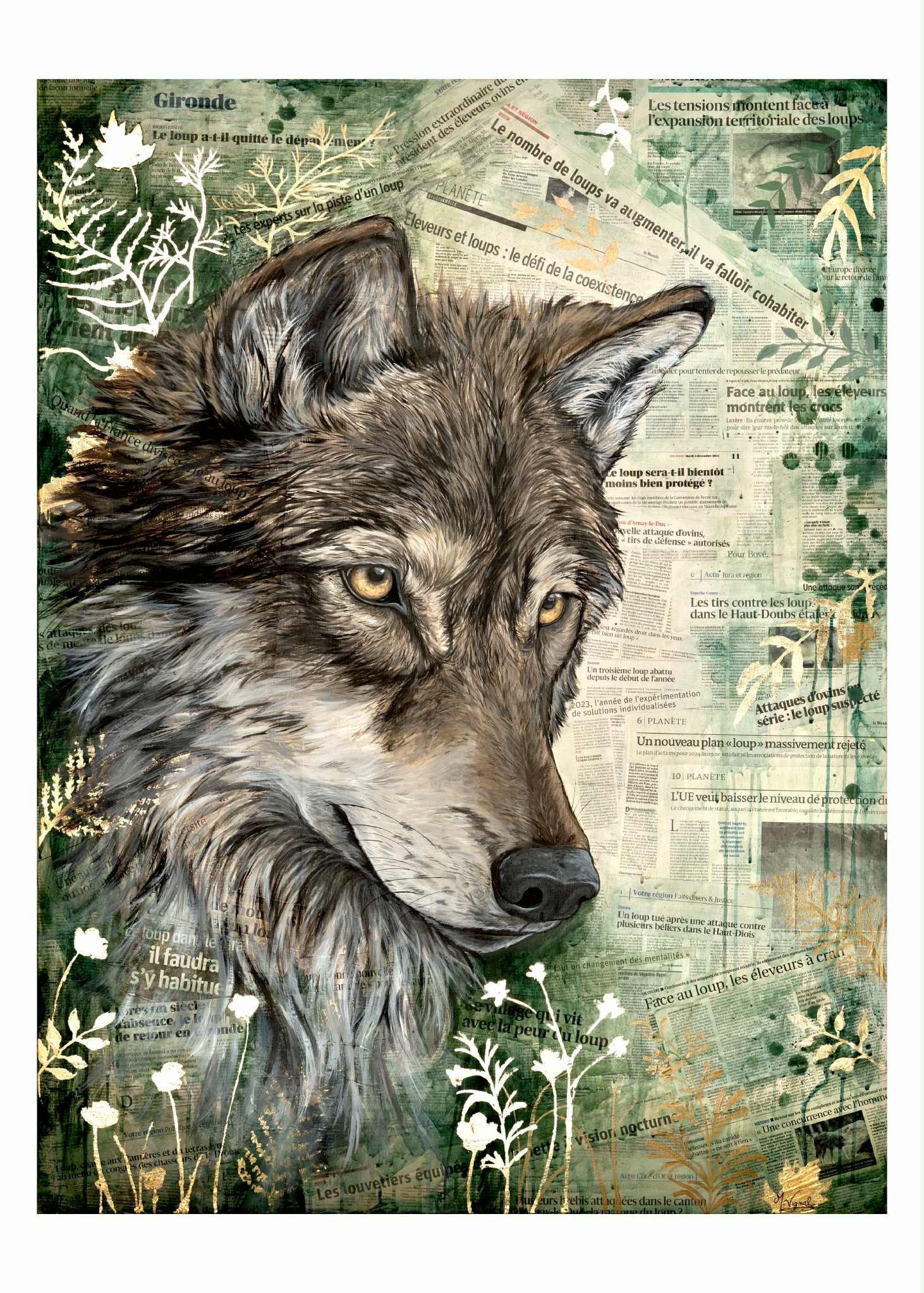 🐺 Grands prédateurs