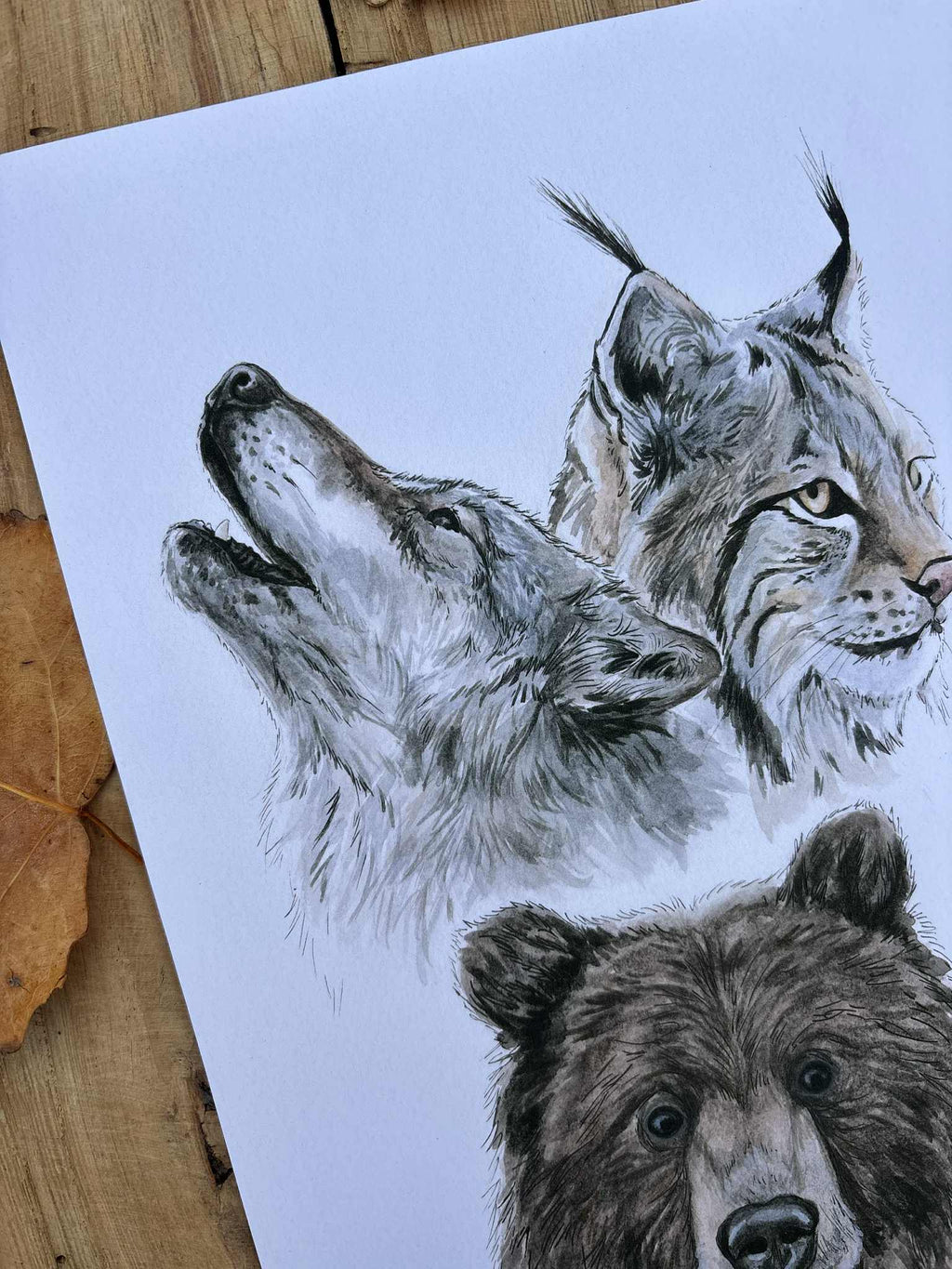 Grands prédateurs - Tirage d'art A4