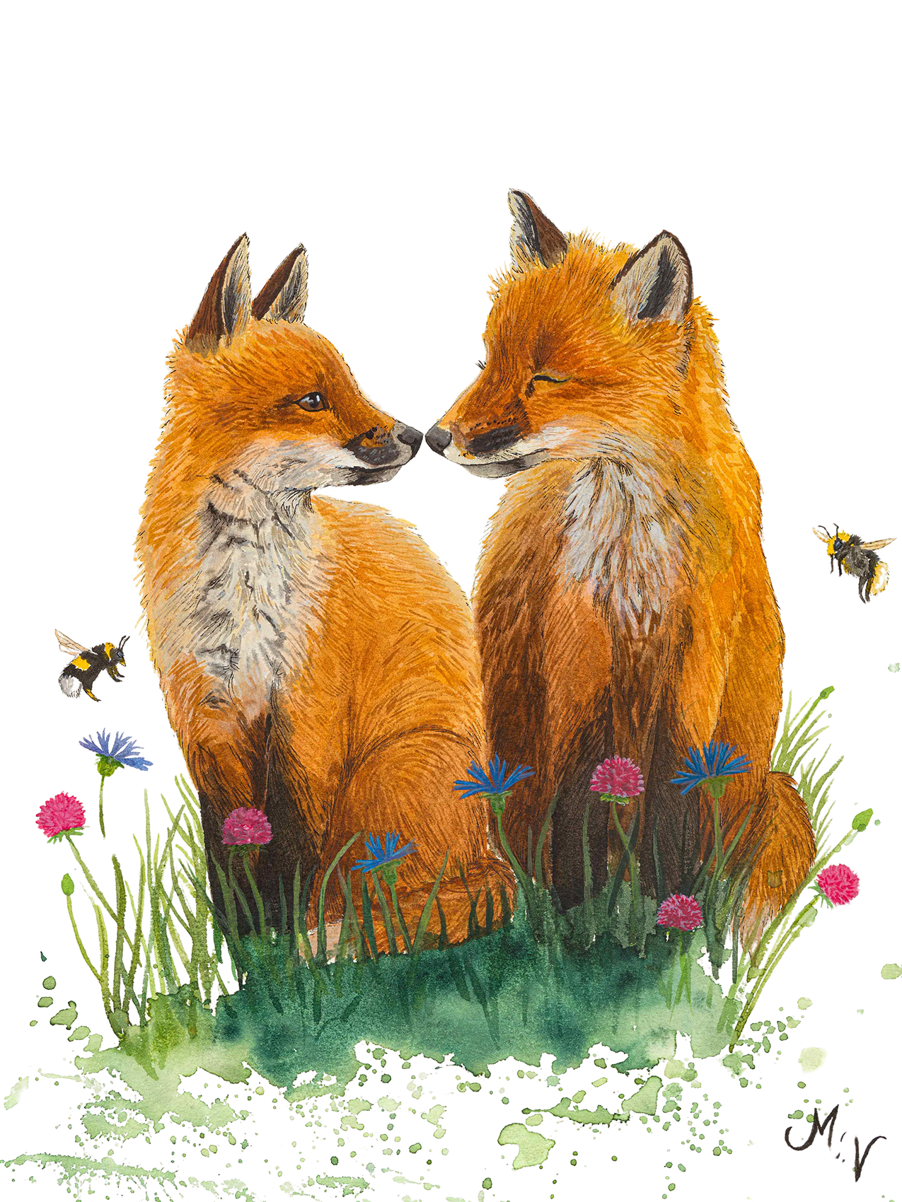 " Renardoux" - tirage d'art A3