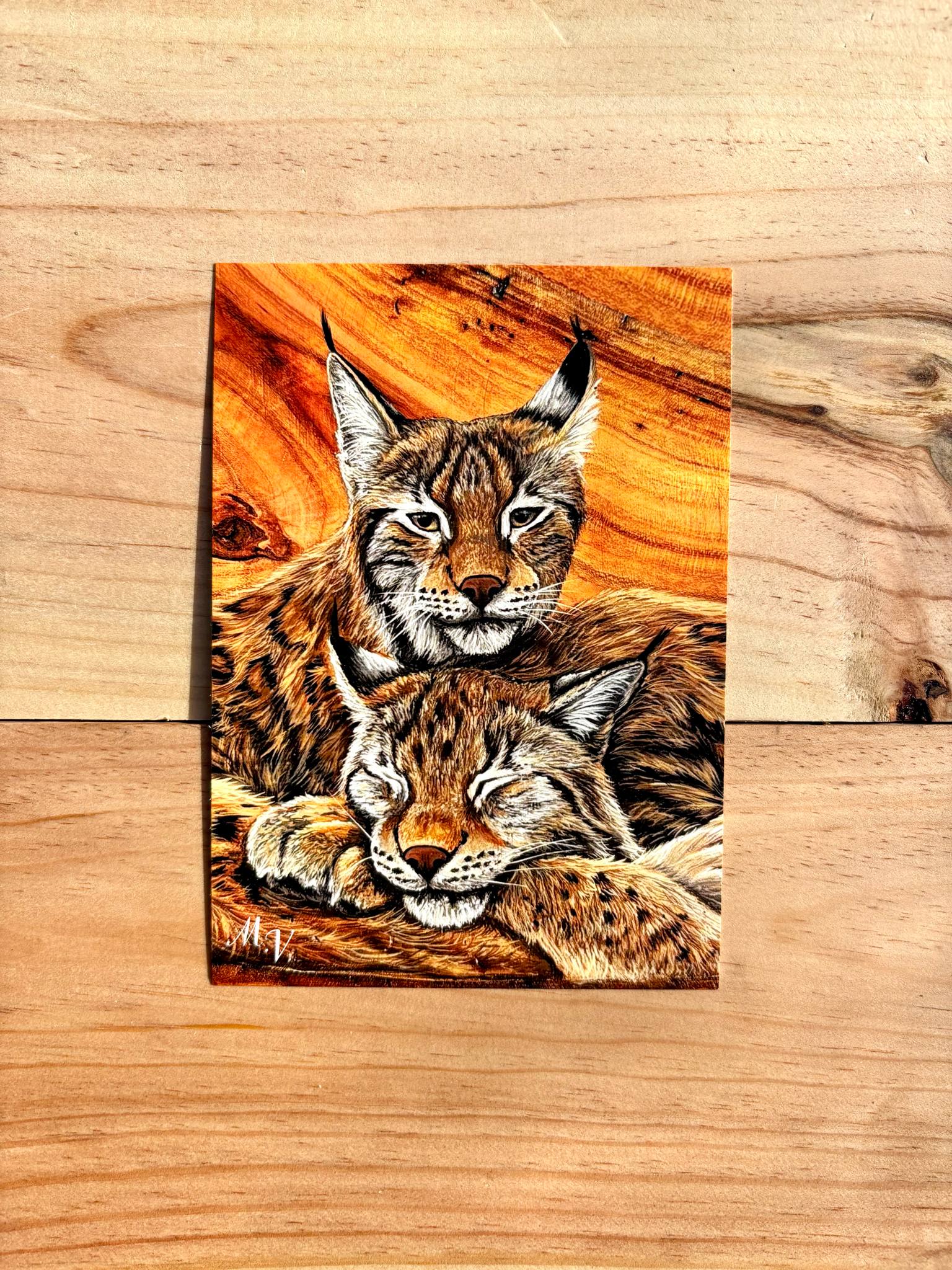 " Regard oublié " - Lynx - carte postale - 10 x 15 cm