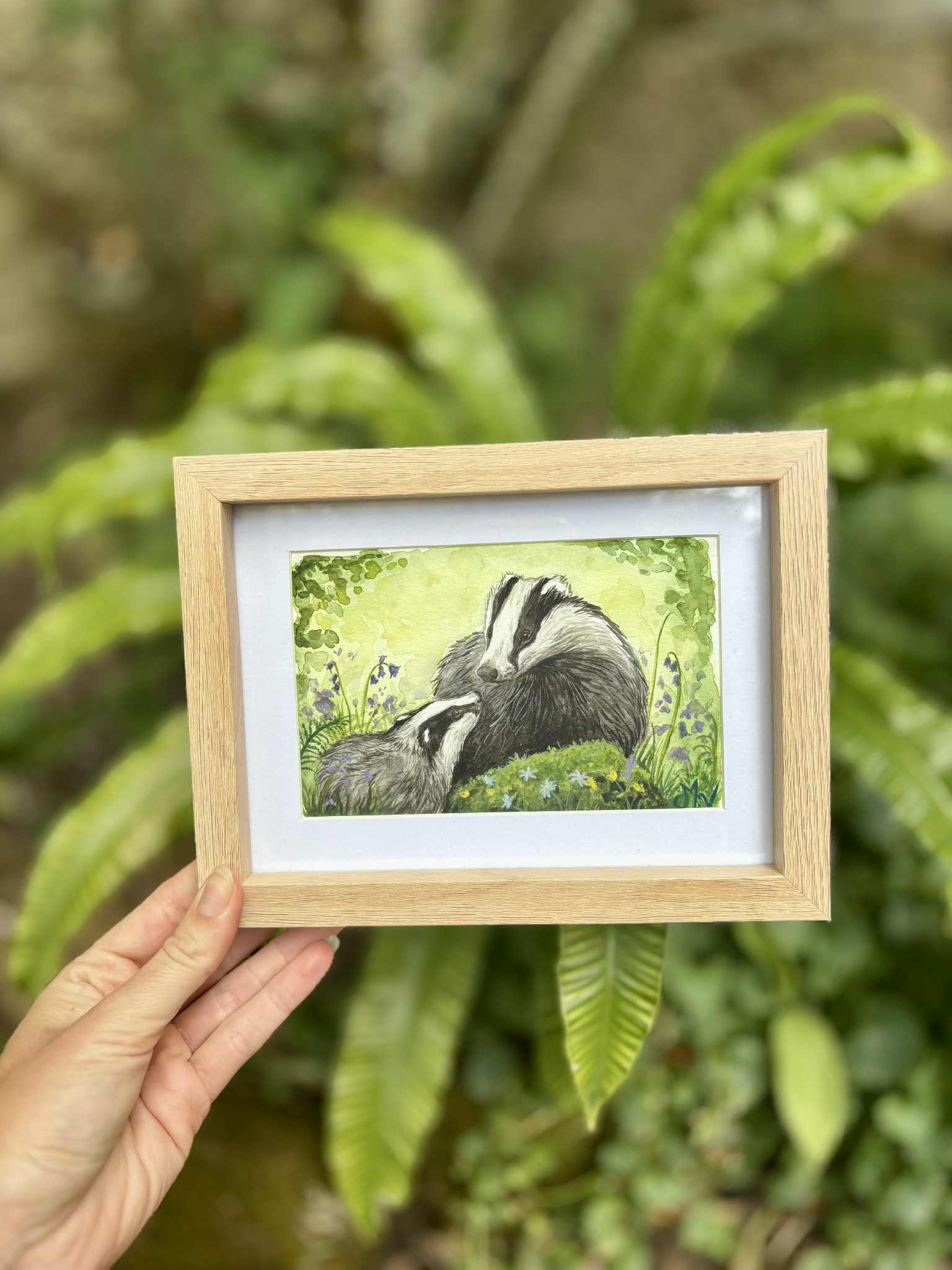 " Blaireaux" - carte postale - 10 x 15 cm