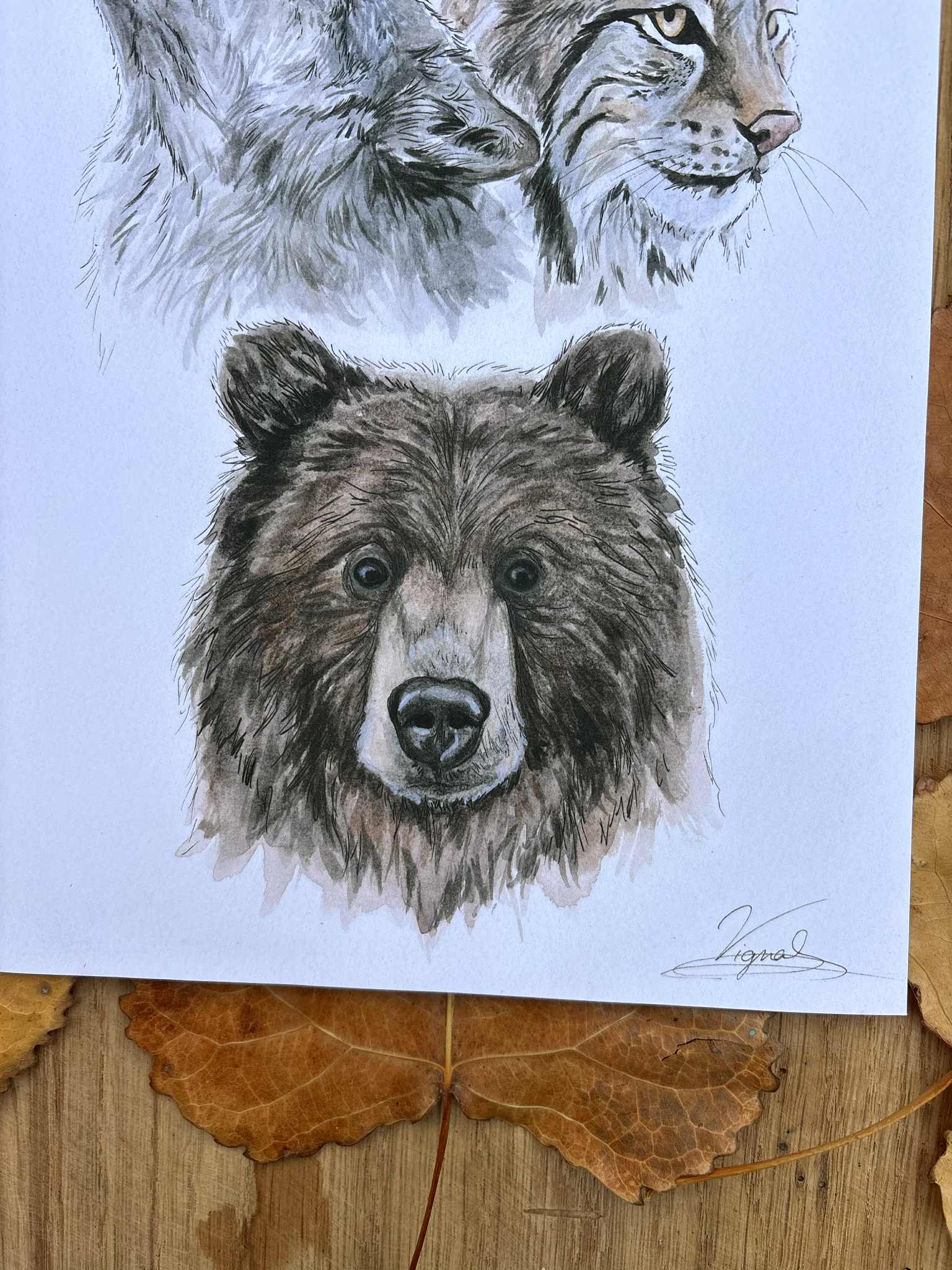 Grands prédateurs - Tirage d'art A4