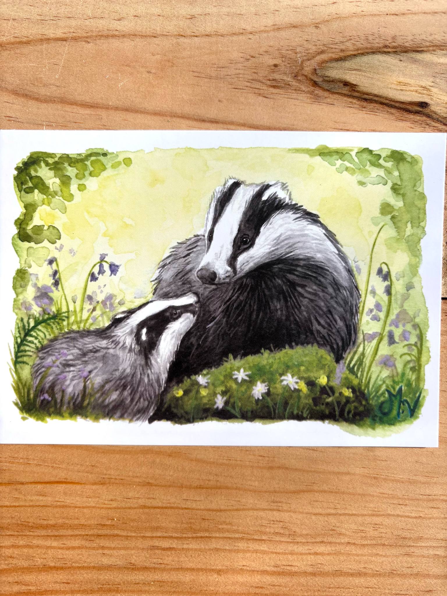 " Blaireaux" - carte postale - 10 x 15 cm