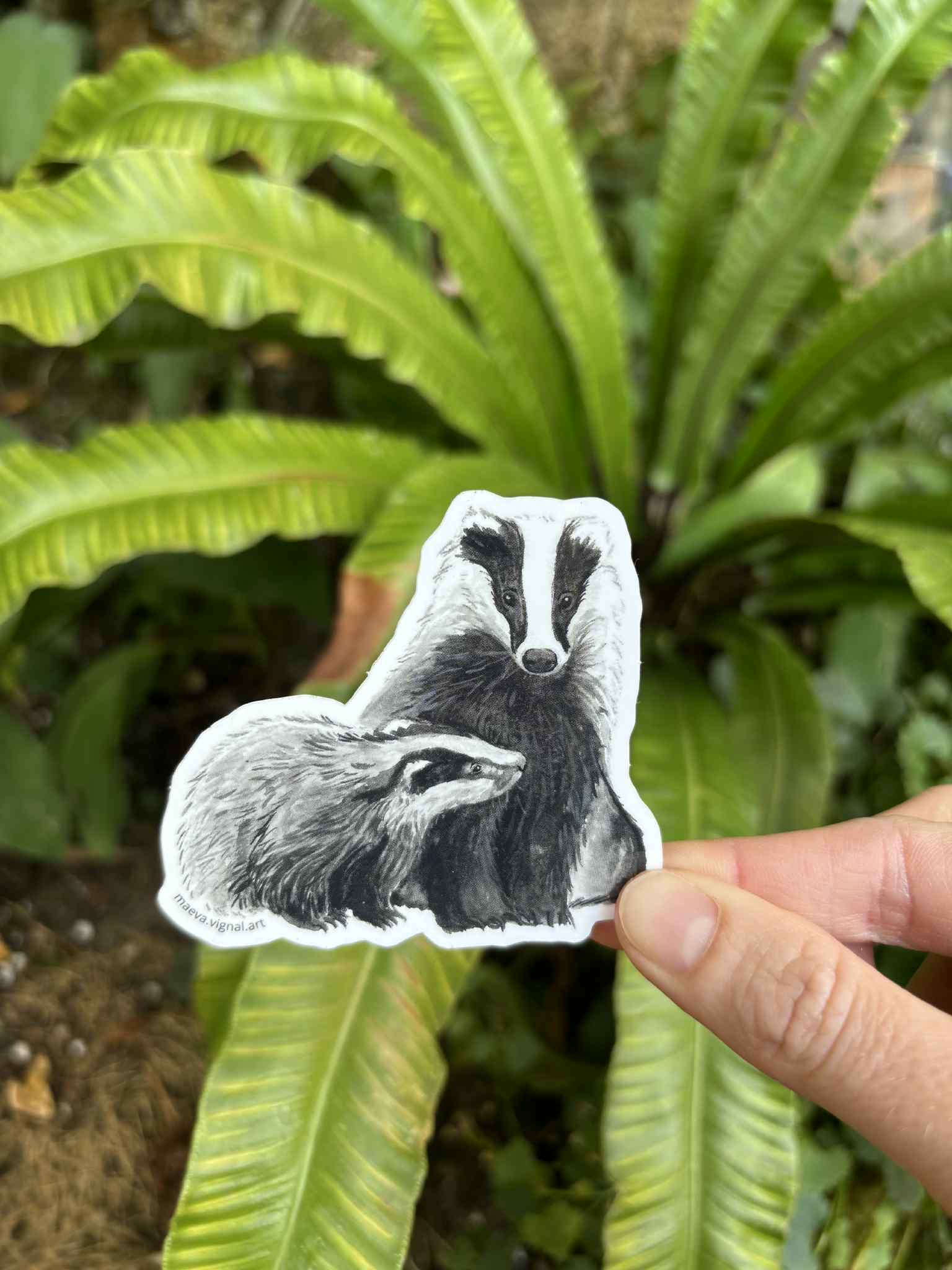 Pack 4 Stickers - renard, blaireaux, hérisson , raton laveur