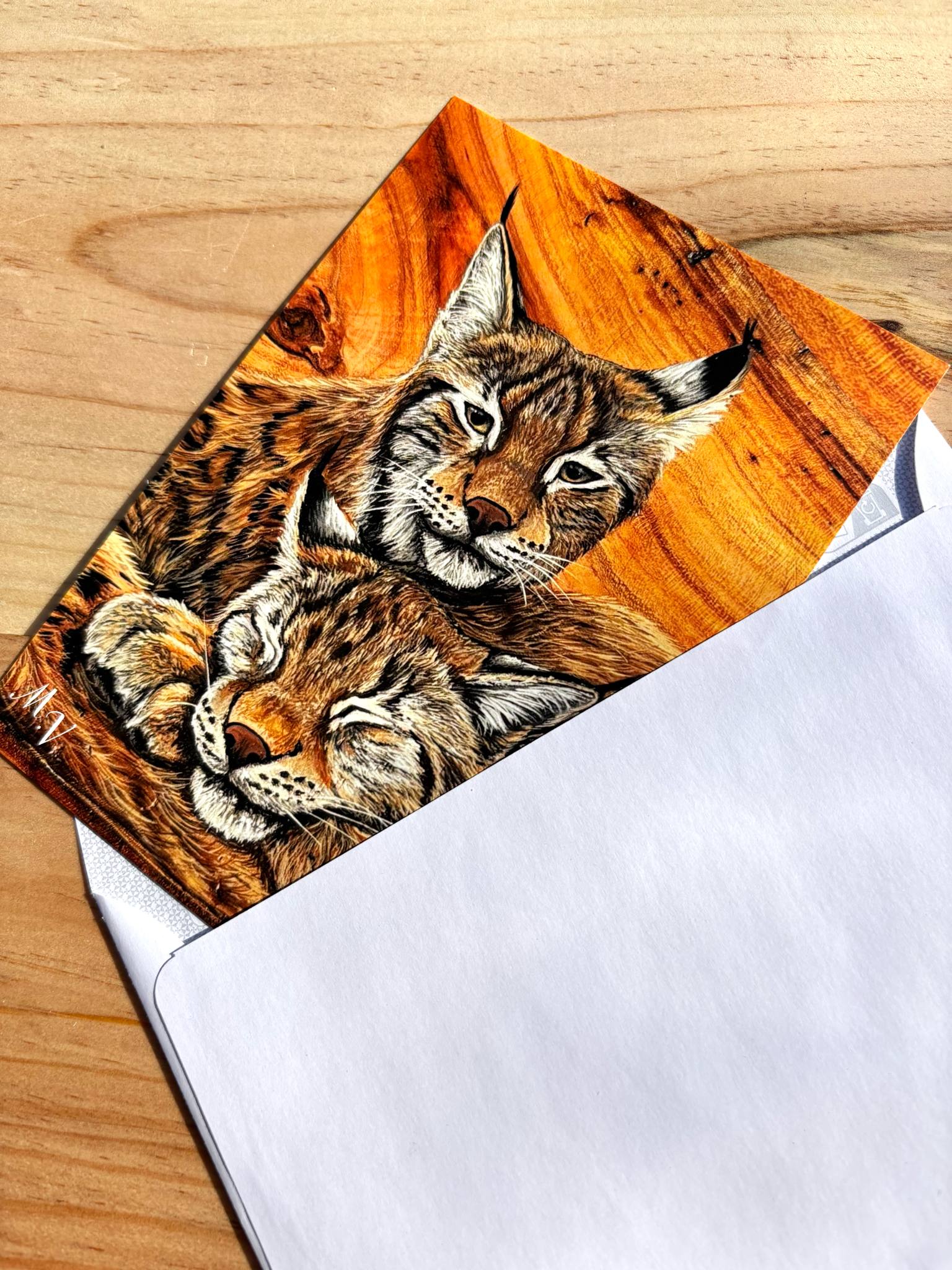 " Regard oublié " - Lynx - carte postale - 10 x 15 cm