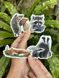 Pack 4 Stickers - renard, blaireaux, hérisson , raton laveur