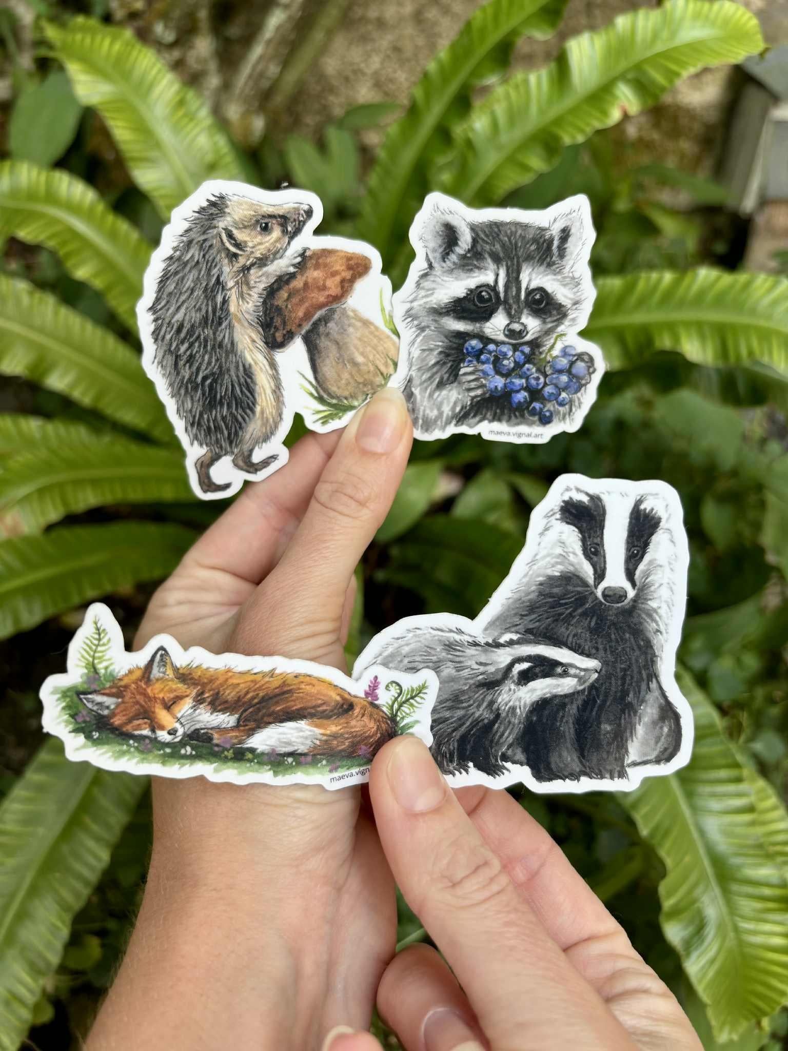 Pack 4 Stickers - renard, blaireaux, hérisson , raton laveur