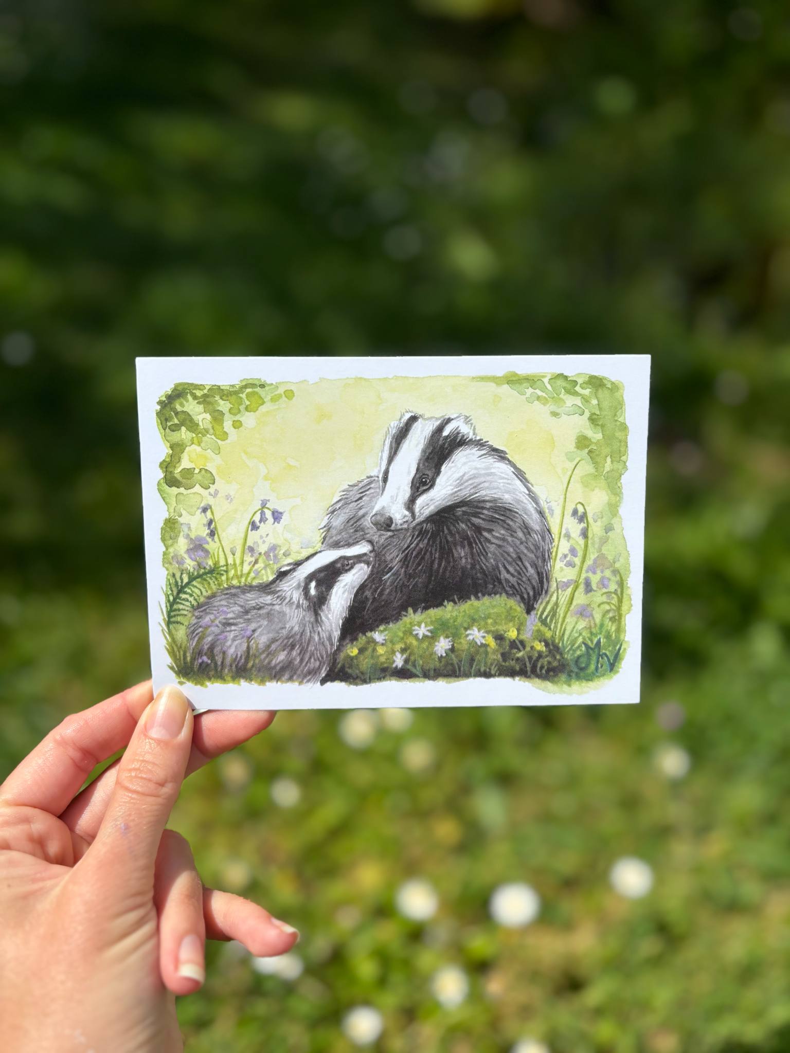 " Blaireaux" - carte postale - 10 x 15 cm