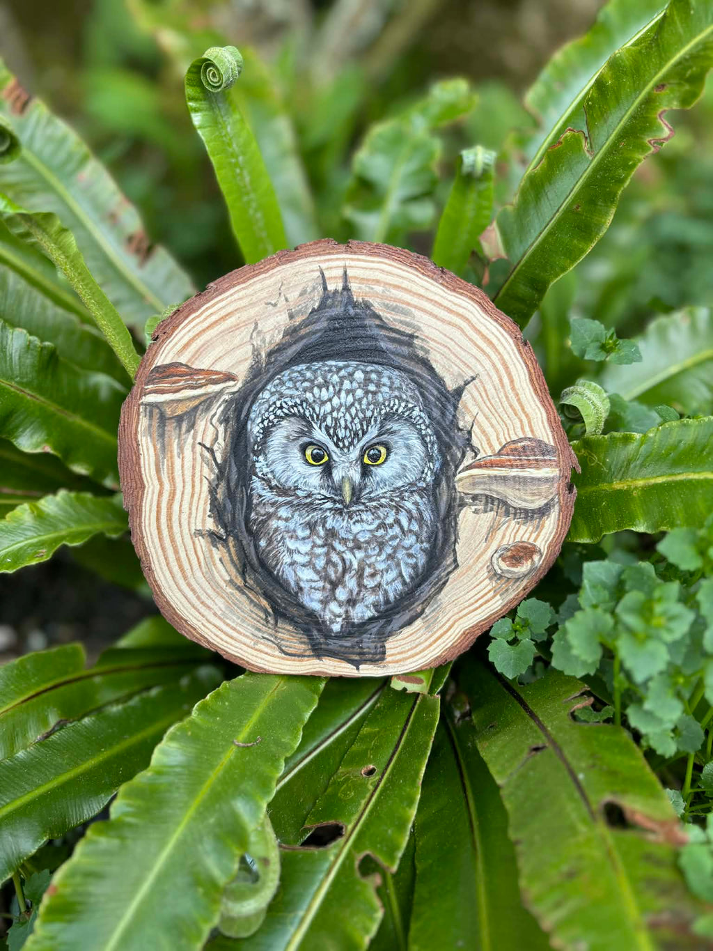 " Oeil de la nuit " - peinture rondin de bois 15 cm