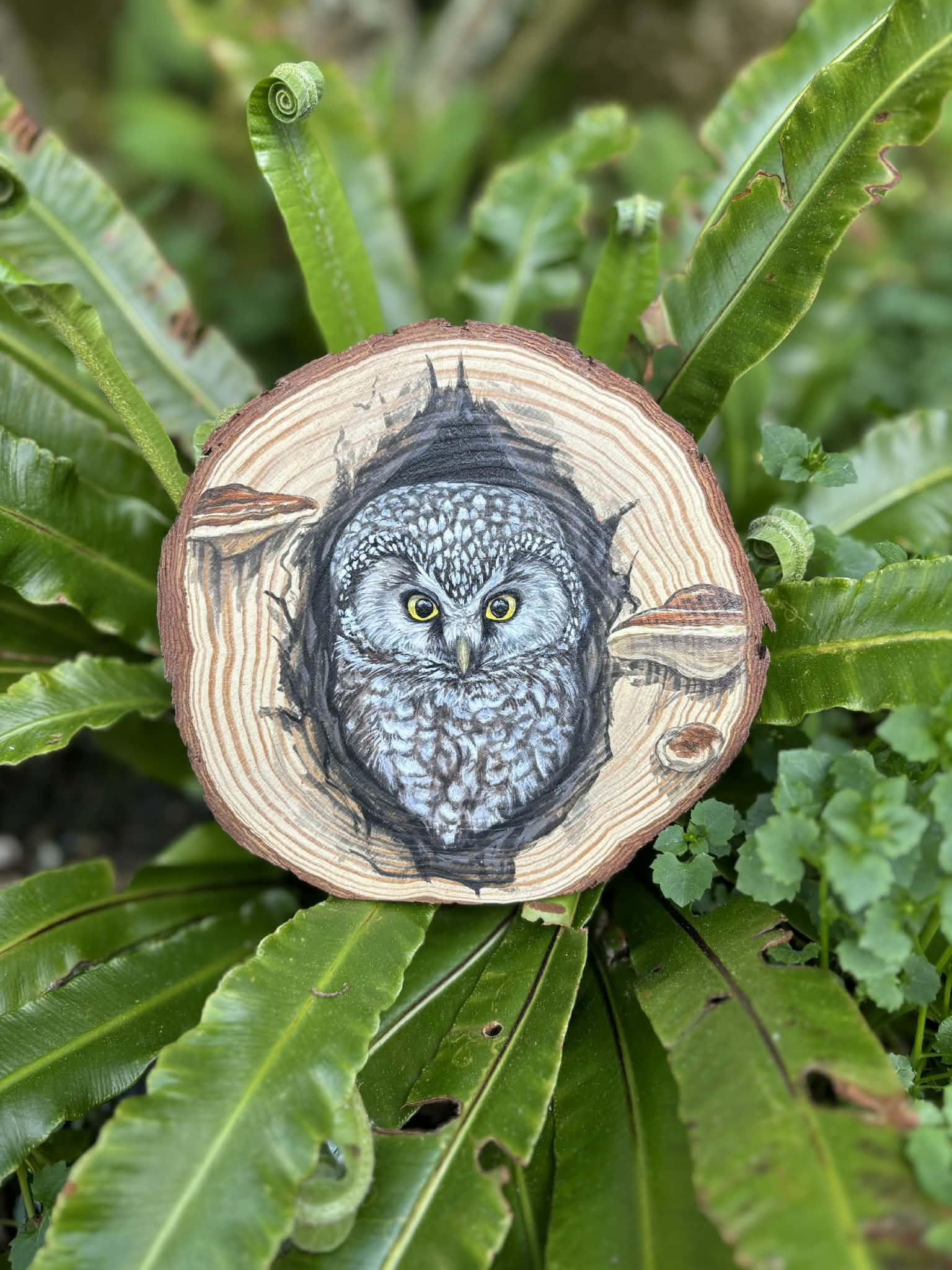 " Oeil de la nuit " - peinture rondin de bois 15 cm