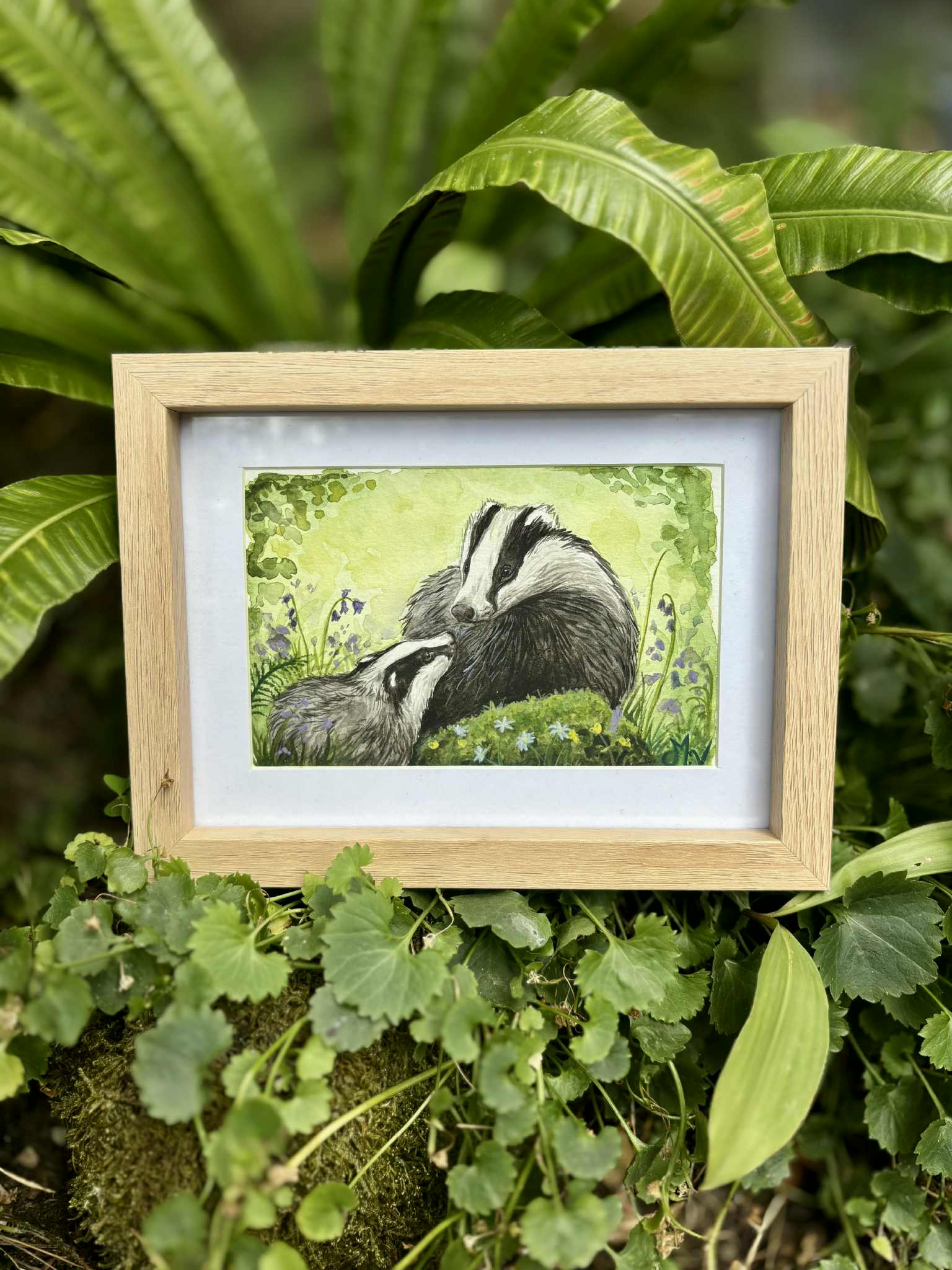 " Blaireaux" - carte postale - 10 x 15 cm