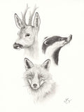 «  Trio forestier » - A3