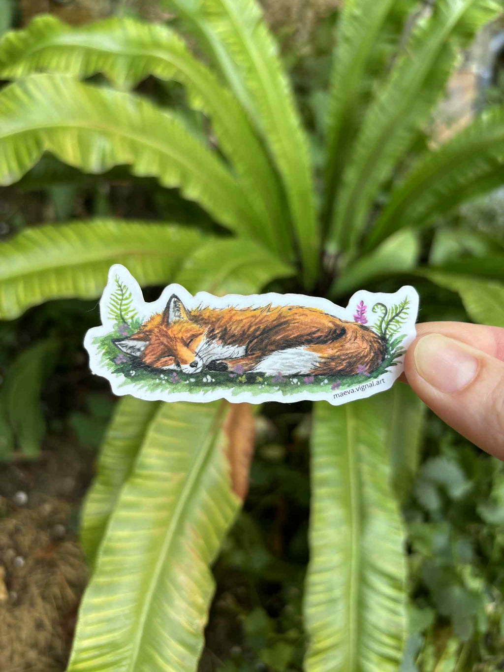 Pack 4 Stickers - renard, blaireaux, hérisson , raton laveur