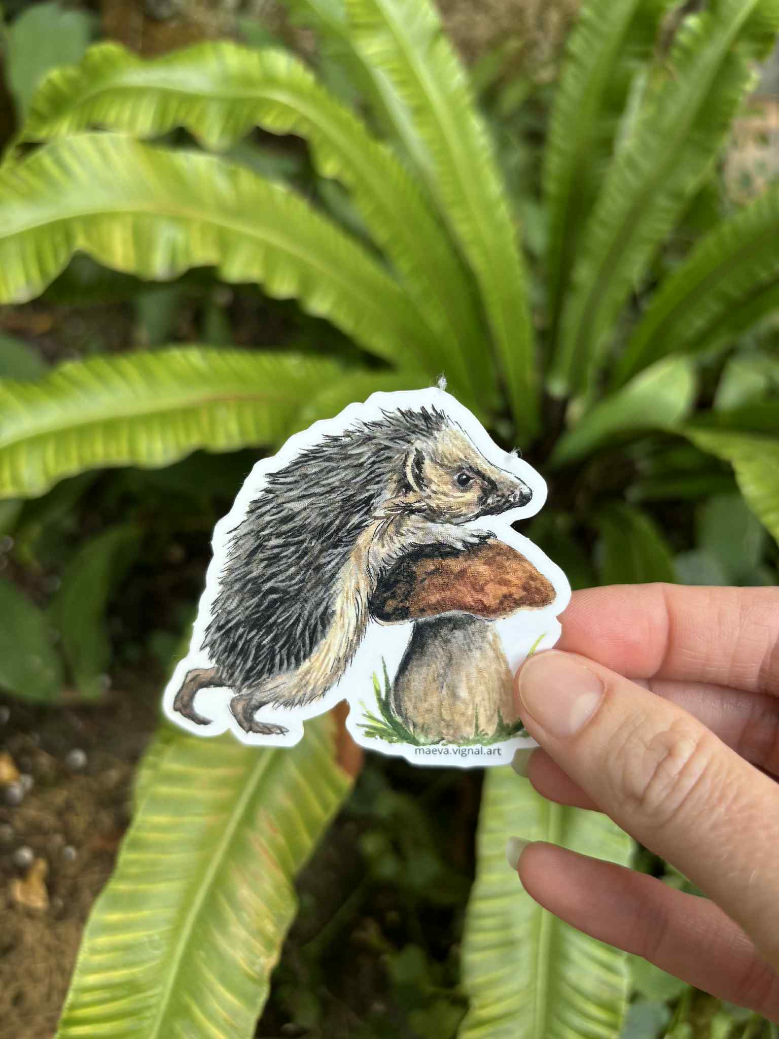 Pack 4 Stickers - renard, blaireaux, hérisson , raton laveur