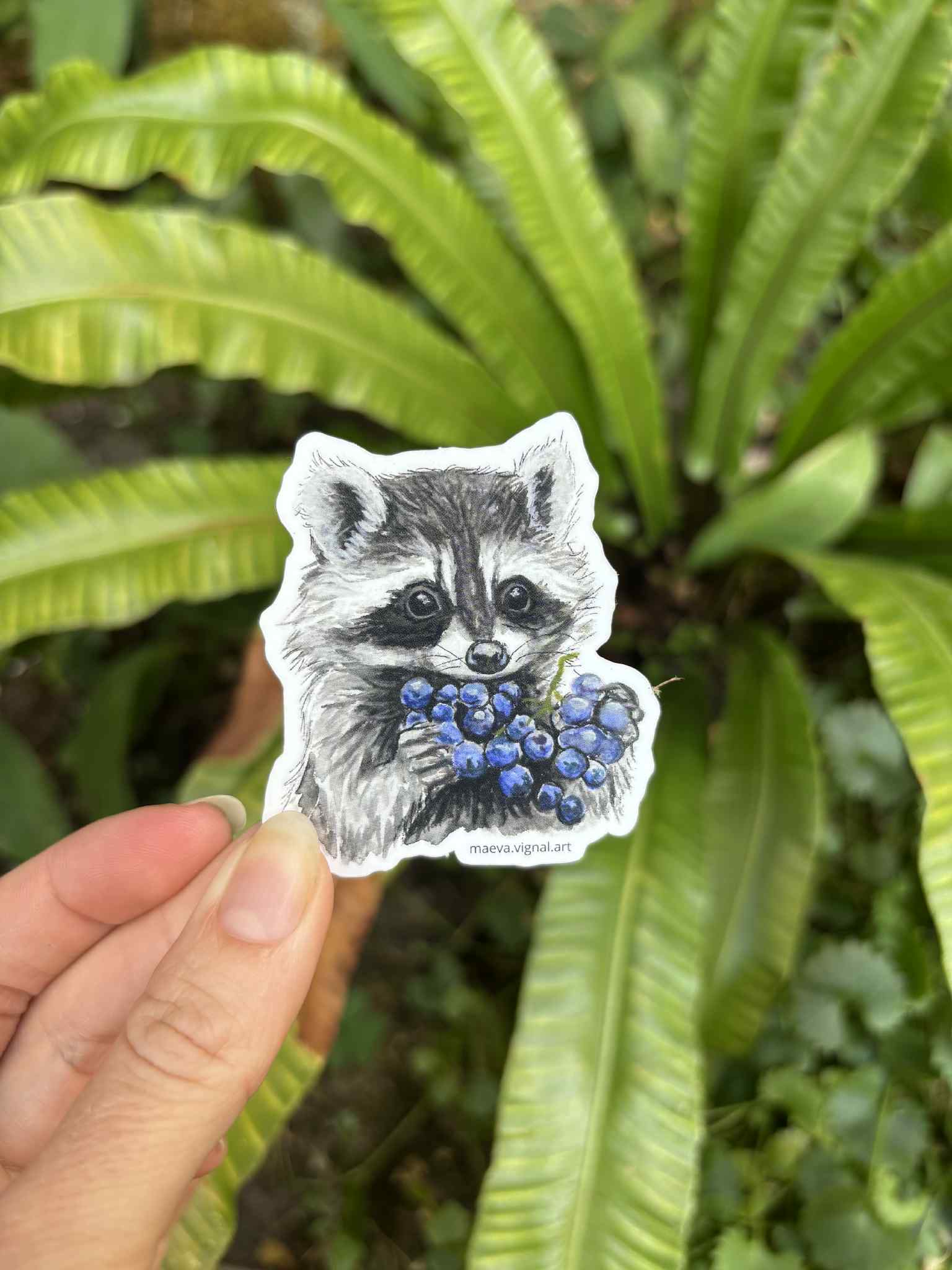 Pack 4 Stickers - renard, blaireaux, hérisson , raton laveur