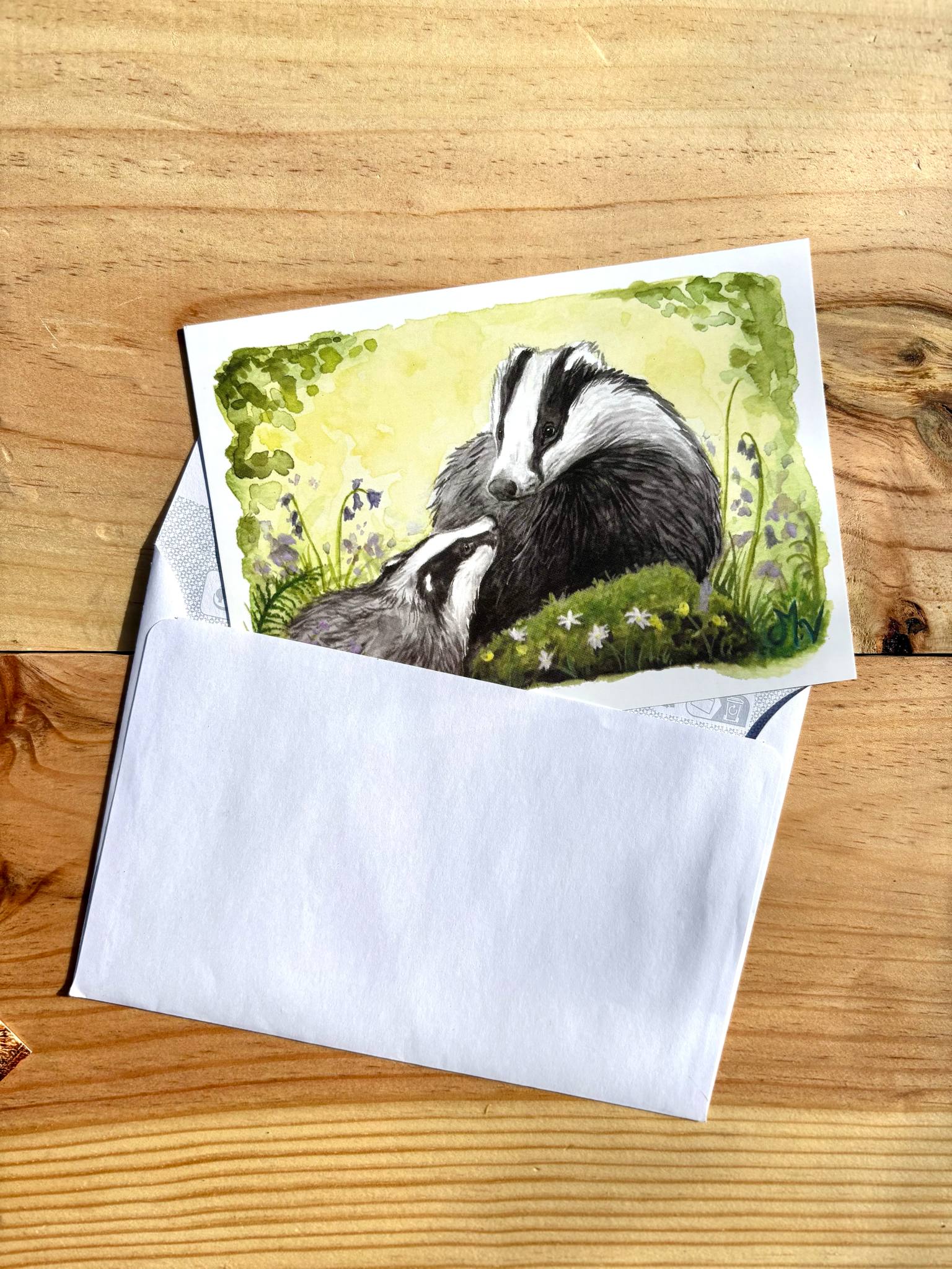 " Blaireaux" - carte postale - 10 x 15 cm