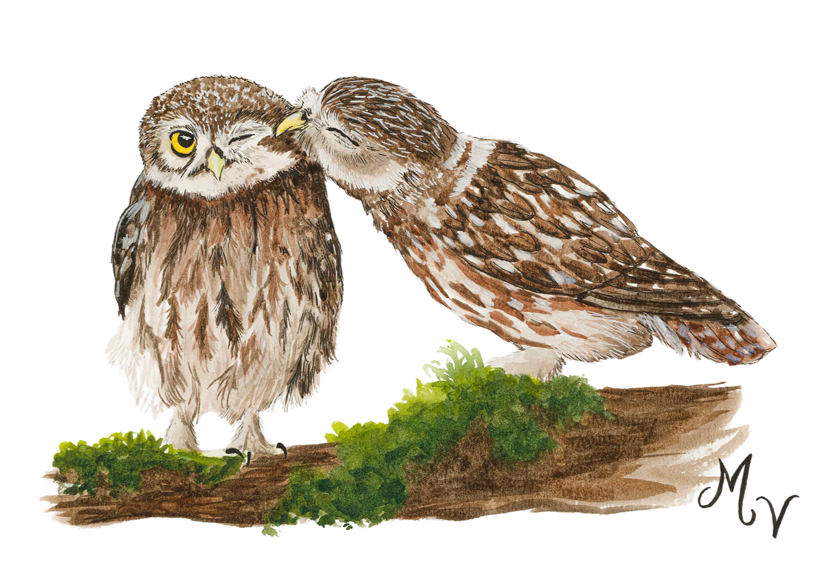 " Chouettes " - tirage d'art A4