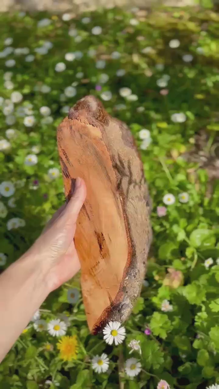" Sommeil doré " - peinture morceau de bois (angle) 20 cm