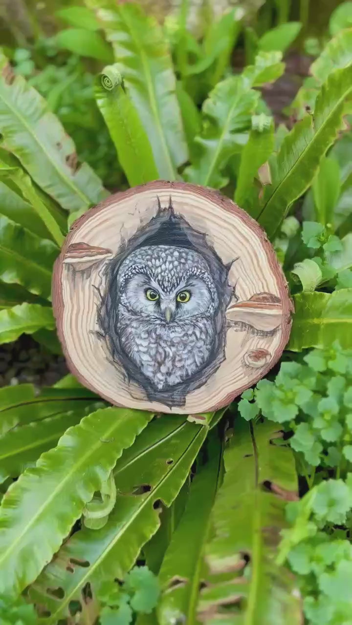 " Oeil de la nuit " - peinture rondin de bois 15 cm